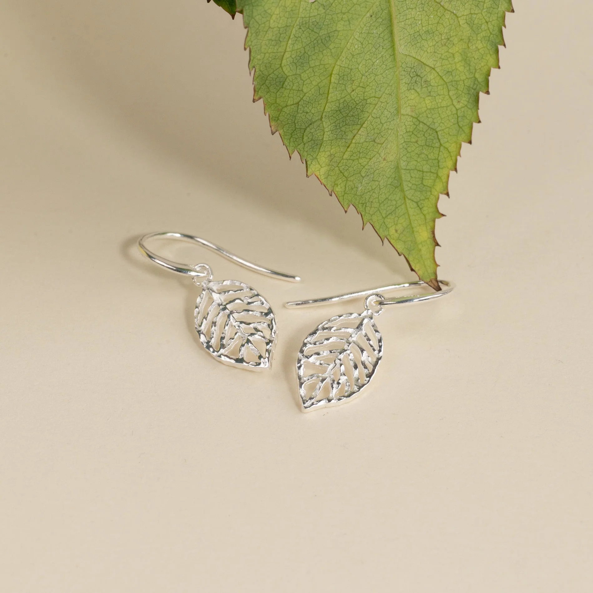 NOA SILVER HOOK EARRING