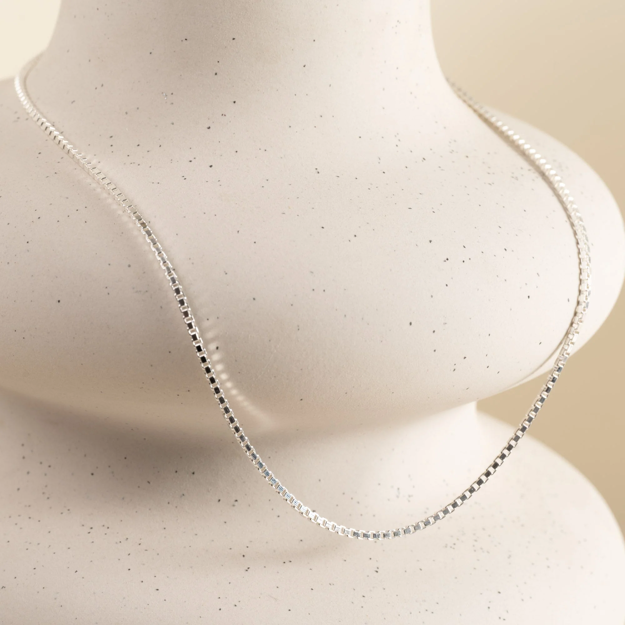 VENEZIA LARGE SILVER CHAIN - Image 2